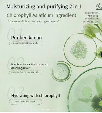 Nicor Chlorophyll Amino Acid Cleansing Foam for All