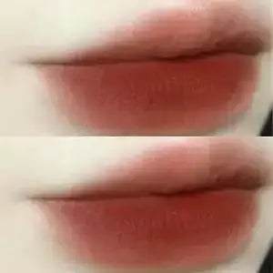 Waterproof Chestnut Velvet Matte Liquid Lipstick