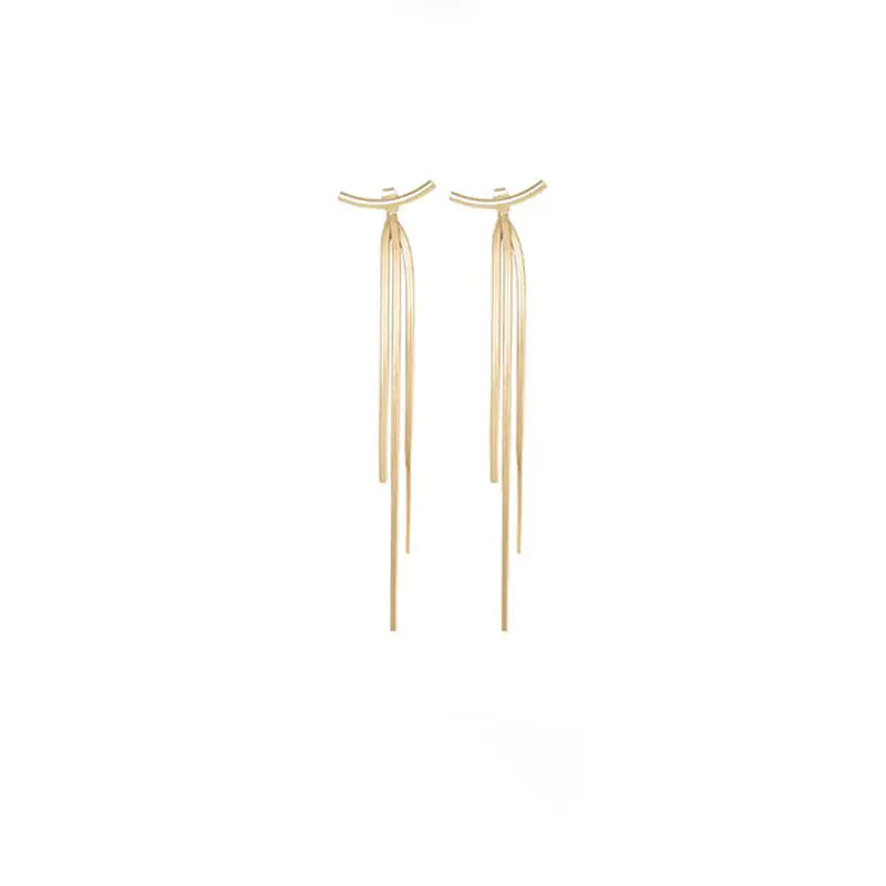 Slim Face Earrings | Bone Chain Drop Tassel Long Earrings for Women | Elegant and Trendy Statement Jewelry