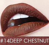 Waterproof Matte Liquid Lipstick with Moisturizing Action